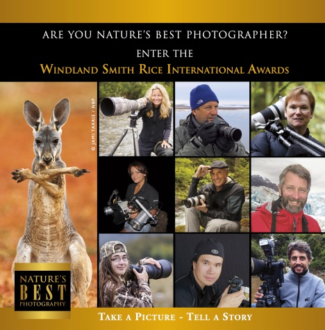 CALL FOR ENTRIES: The 2014 Windland Smith Rice International Awards is NOW open. Click Here to go to the entry form.Start an entry page early to be judged first! You will have until May 1, 2014, to complete your uploads. For each entry fee of $25 US dollars, you may enter a total of 20 images. You may start as many entry pages as you like for $25 each. Entries are judged on technical quality, originality, and artistic merit. Follow the guidelines, rules, and categories listed on: www.NaturesBestPhotography.com Finalists will be published in Nature's Best Photography and Alert Diver magazines and featured in online galleries. The category Winners and a selection of Highly Honored photographs will be displayed in the annual Awards Exhibition at the Smithsonian’s National Museum of Natural History in Washington, DC, one of the most widely respected and highly visited museums in the world.